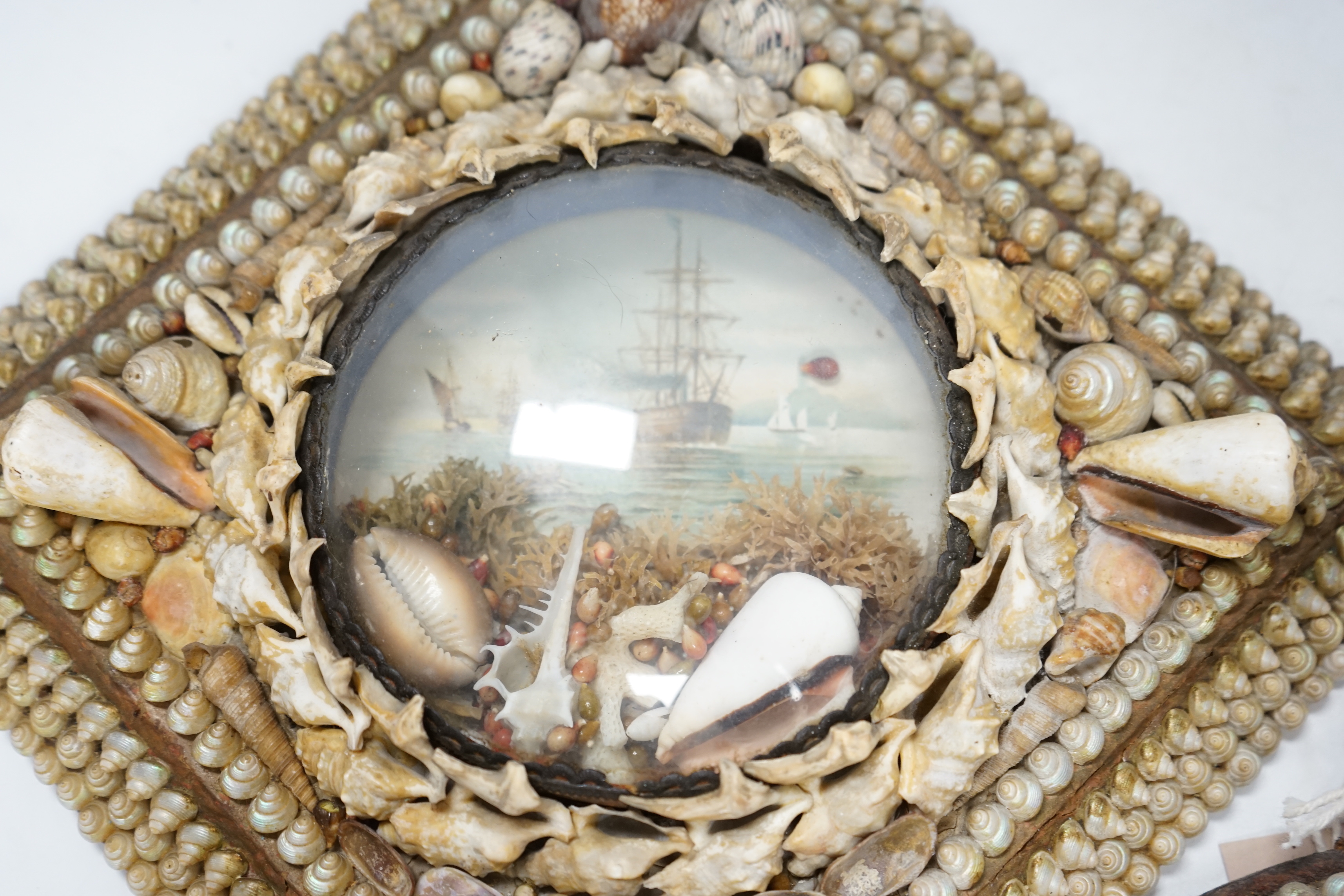 Two Victorian shellwork dioramas, largest 23cmsq